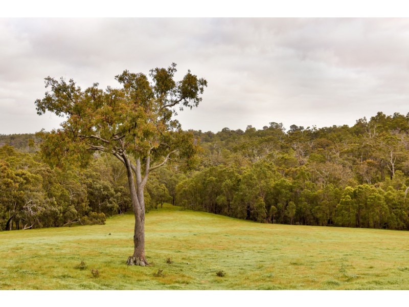 75 Potoroo Retreat, Gidgegannup WA 6083