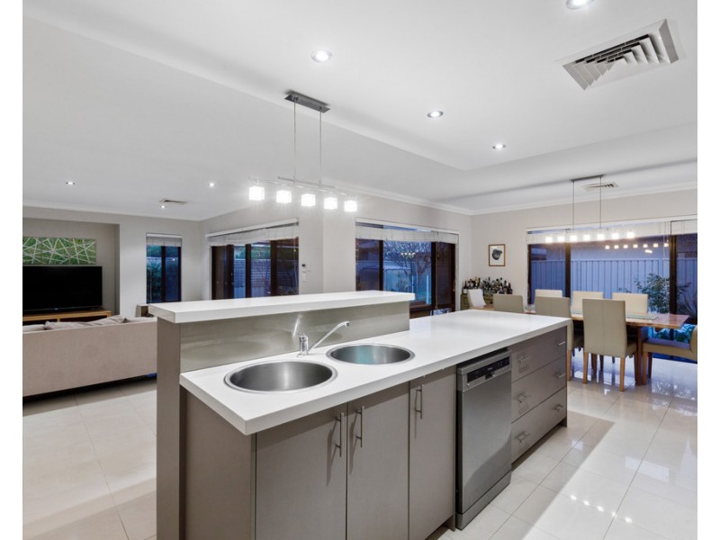 42 Carpenteria Drive, Stirling WA 6021