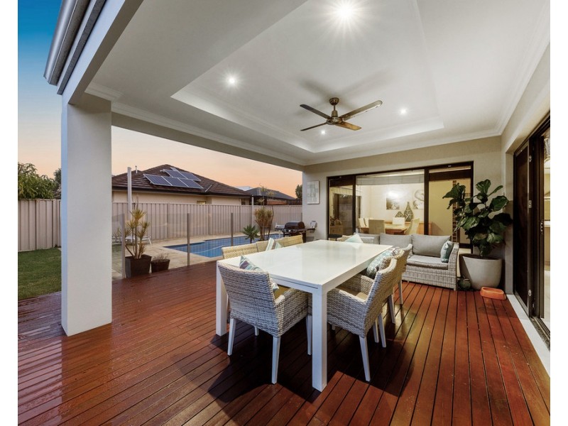 42 Carpenteria Drive, Stirling WA 6021