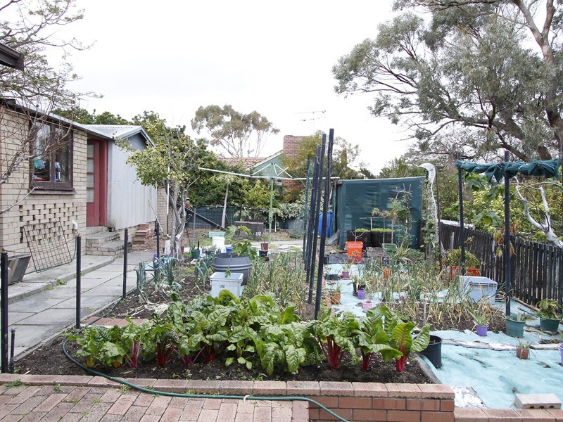 7 Sonia Street, Innaloo WA 6018