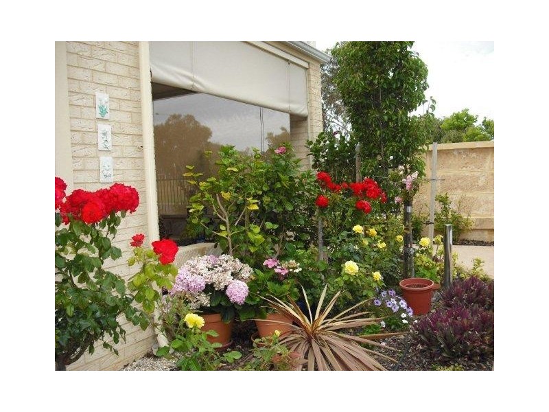 58 The Ramble, Mindarie WA 6030