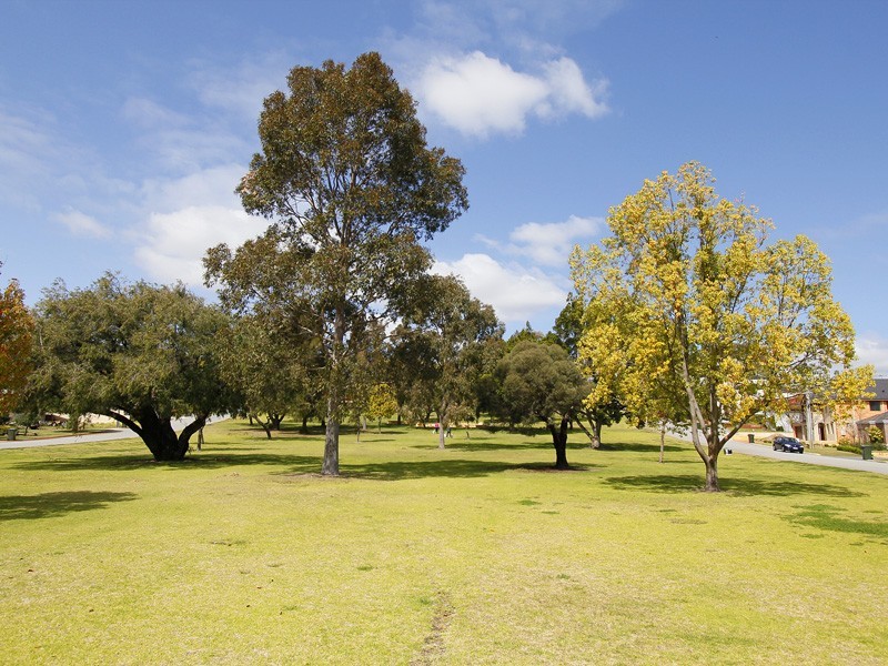 21 Murchison Street, Coolbinia WA 6050