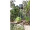 60 Bushland Retreat, Carramar WA 6031