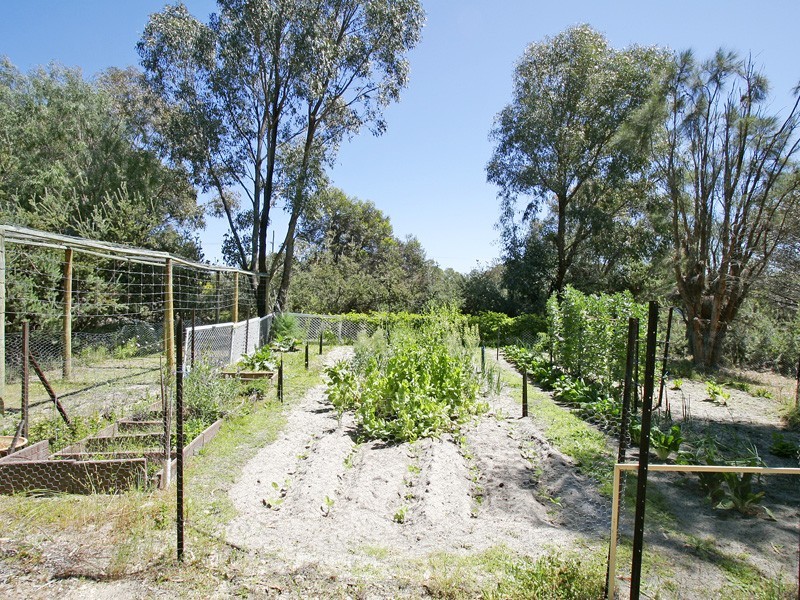 6 Honeysuckle Grv, Carramar WA 6031