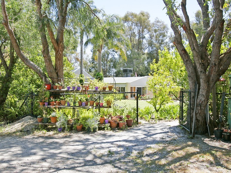 6 Honeysuckle Grv, Carramar WA 6031