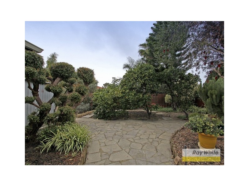 31 Blaxland Way, Padbury WA 6025