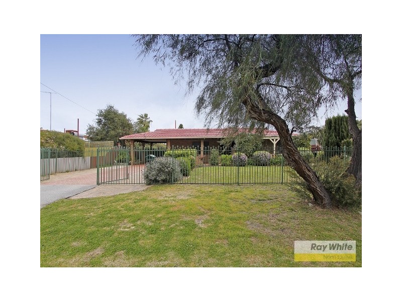31 Blaxland Way, Padbury WA 6025