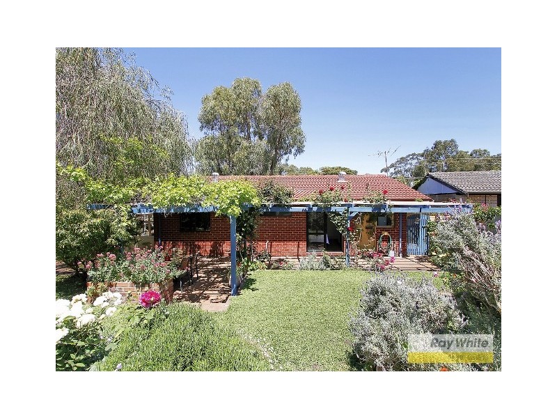 34 Macdonald Ave, Padbury WA 6025