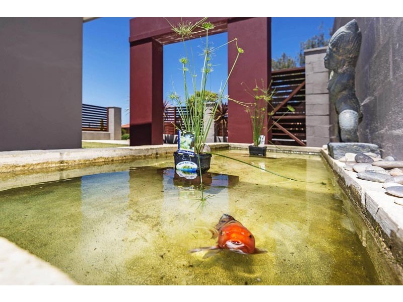 4 Blackbird Glen, Quinns Rocks WA 6030