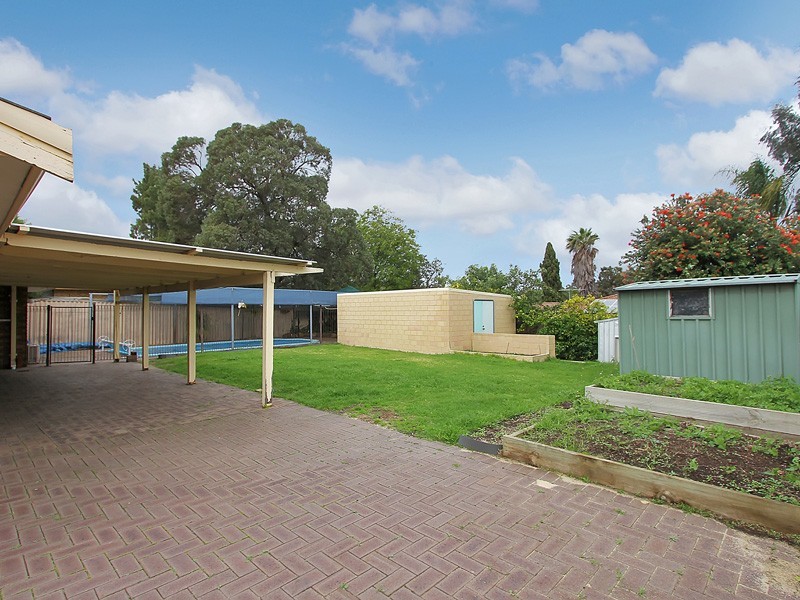 19 Newgate Street, Alexander Heights WA 6064