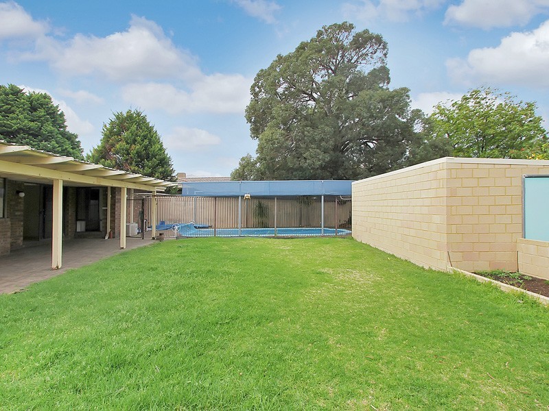 19 Newgate Street, Alexander Heights WA 6064