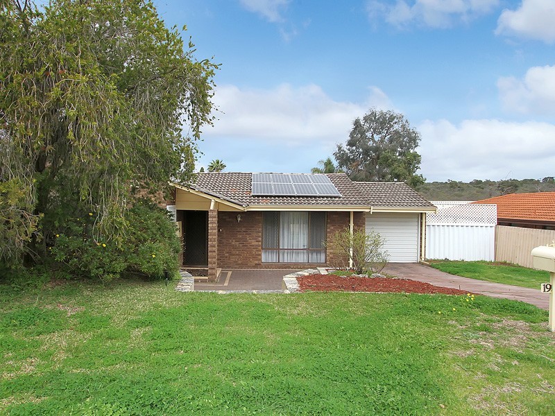 19 Newgate Street, Alexander Heights WA 6064