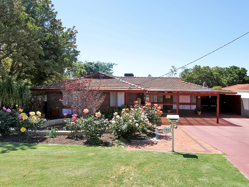 43 Buchanan Way, Padbury WA 6025