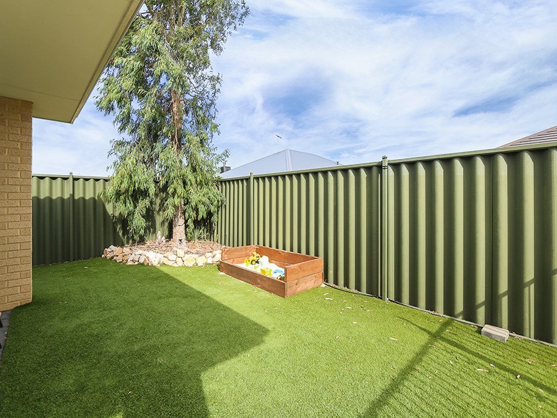 11 Clontarf Way, Butler WA 6036