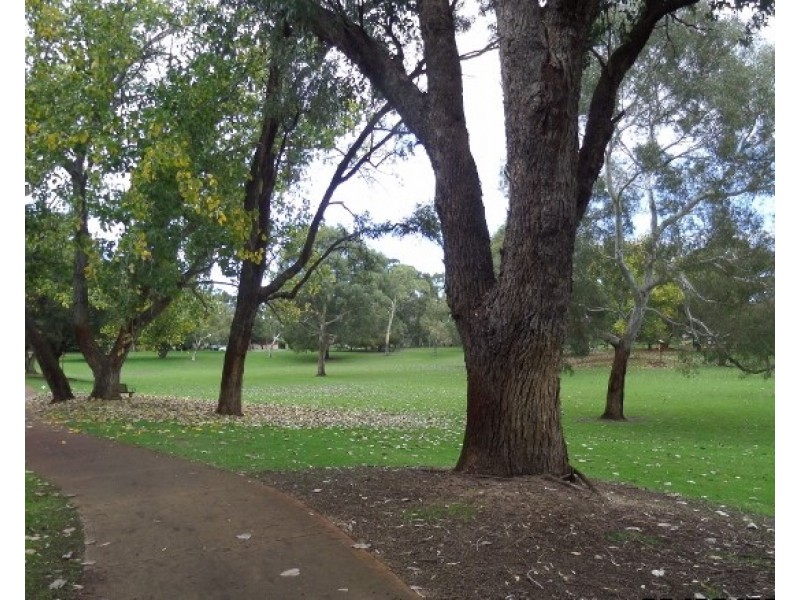 11/22-24 CUNNINGHAM TERRACE, Daglish WA 6008