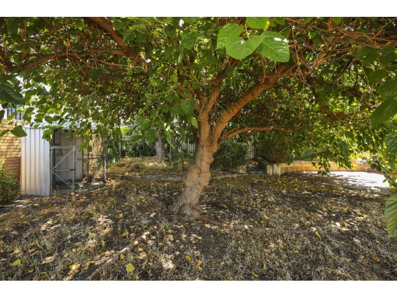 33 Wahroonga Way, Greenwood WA 6024