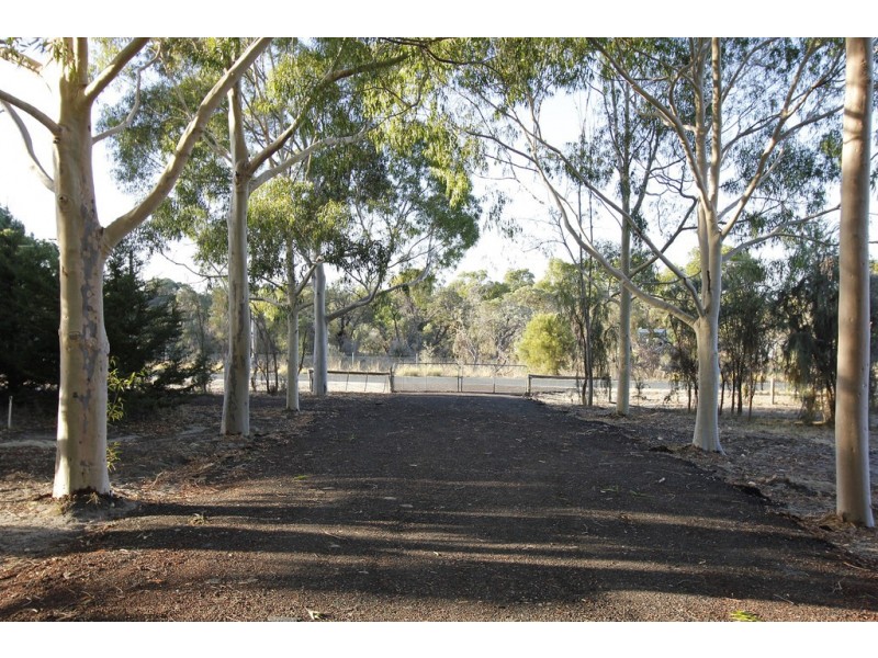 10 Casuarina Way, Wanneroo WA 6065