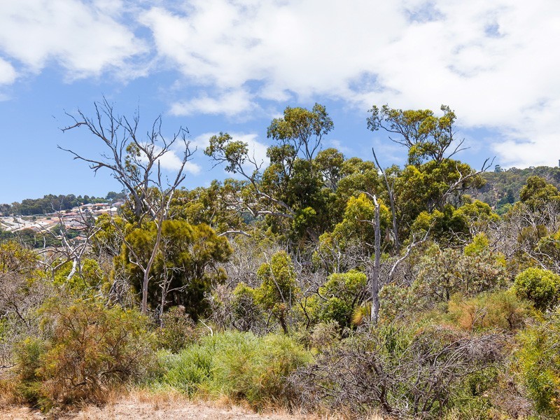 51B Lakeside Drive, Joondalup WA 6027