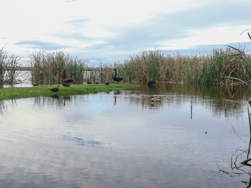 16/85 Herdsman Parade, Wembley WA 6014