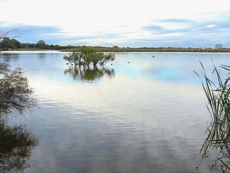 16/85 Herdsman Parade, Wembley WA 6014