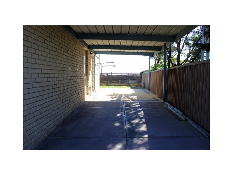 19 SPRINGFIELD COURT, Kallaroo WA 6025