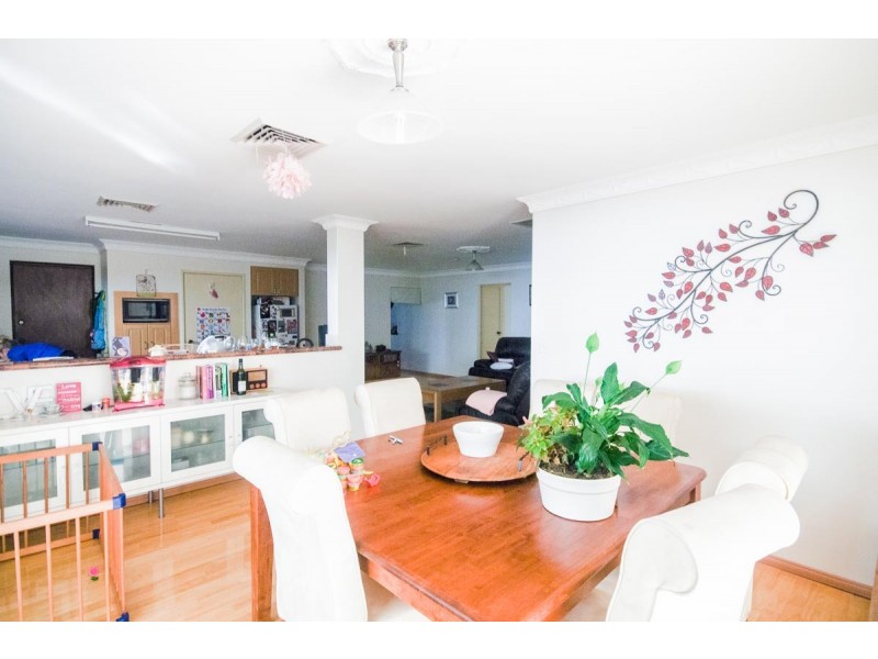 19 Akera Close, Hillarys WA 6025