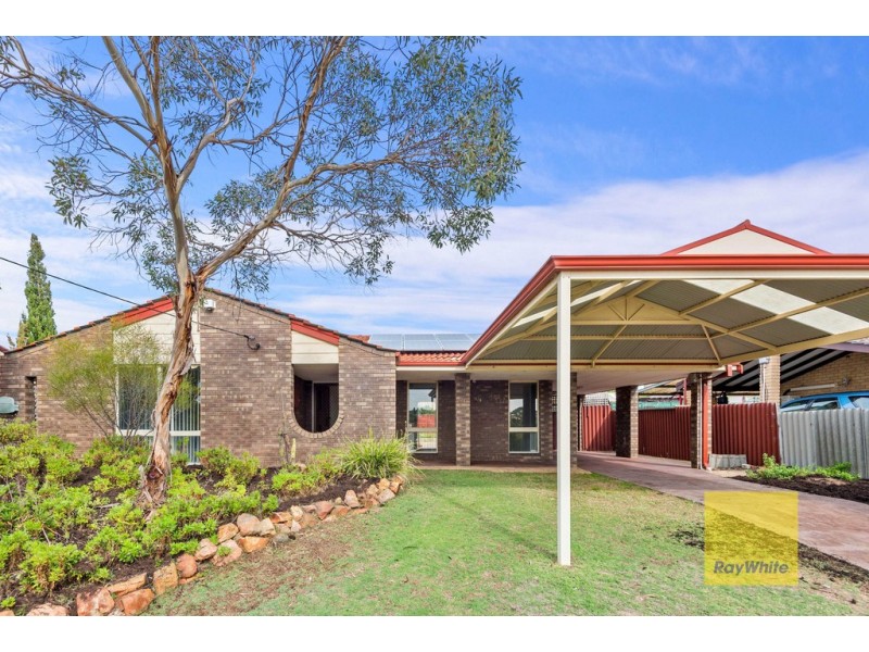 108 Craigie Drive, Craigie WA 6025