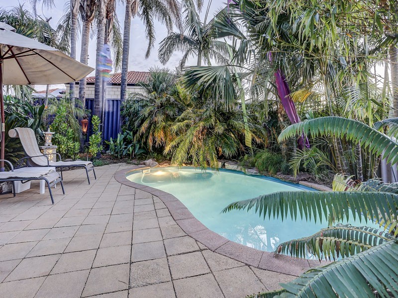 217 Huntriss Road, Doubleview WA 6018