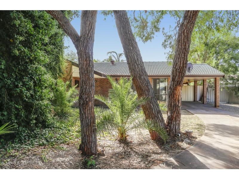 7 Squatter Court, Edgewater WA 6027