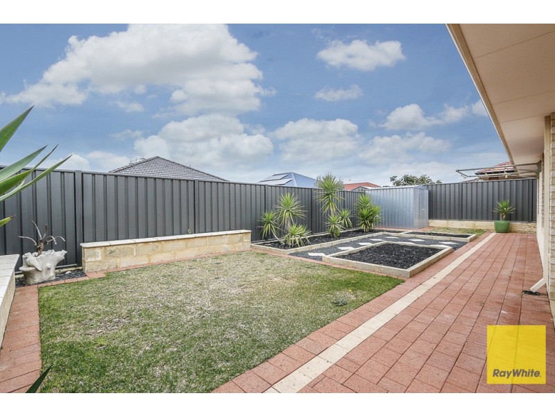 14 Oligantha Elbow, Banksia Grove WA 6031