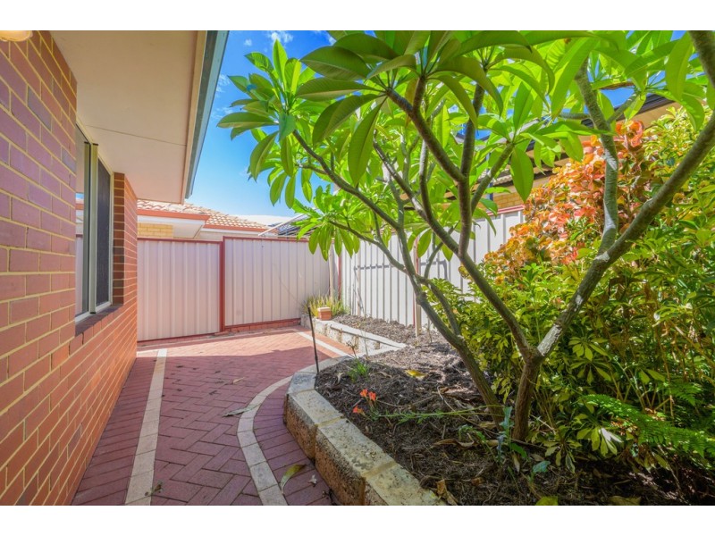 25 Sabina Park Drive, Madeley WA 6065