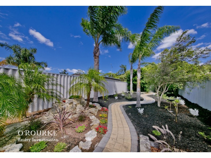 18B Bradbury Place, Alexander Heights WA 6064
