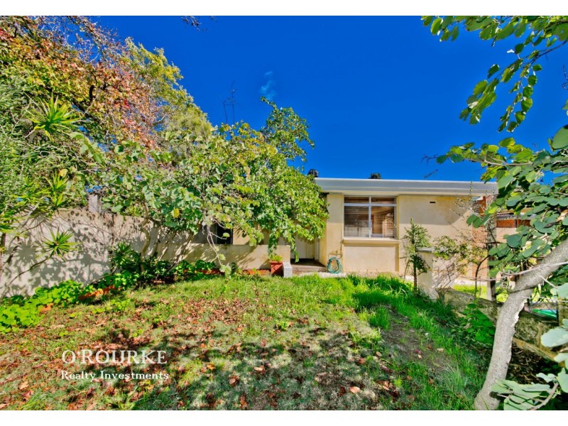 225 Alice Street, Doubleview WA 6018