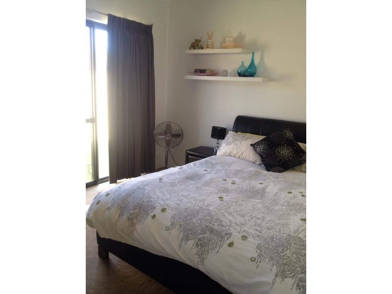 226 Herbert Street, Doubleview WA 6018