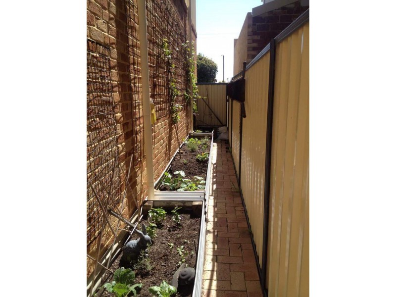 226 Herbert Street, Doubleview WA 6018