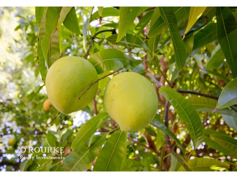 407 Grand Promenade, Dianella WA 6059