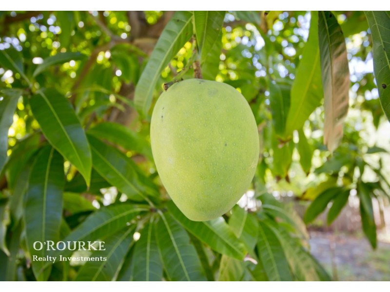 407 Grand Promenade, Dianella WA 6059