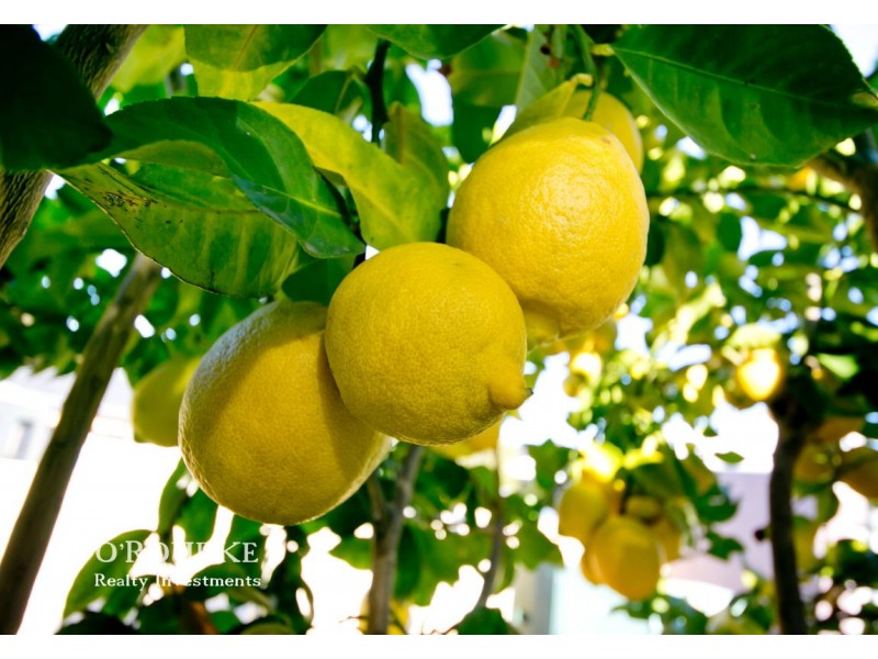 5 Foxtail Mall, Stirling WA 6021