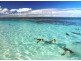 Jurien Bay WA 6516