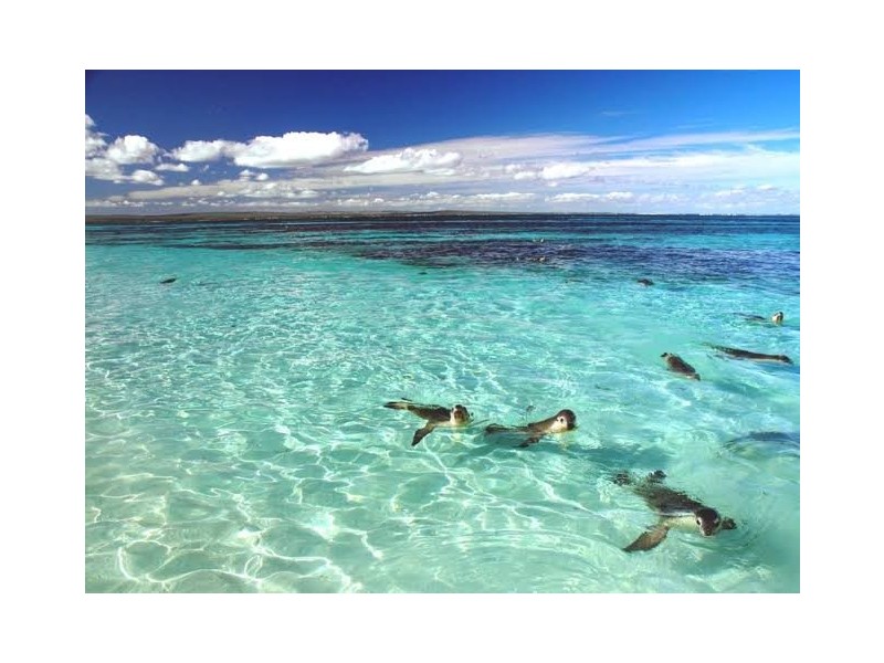Jurien Bay WA 6516