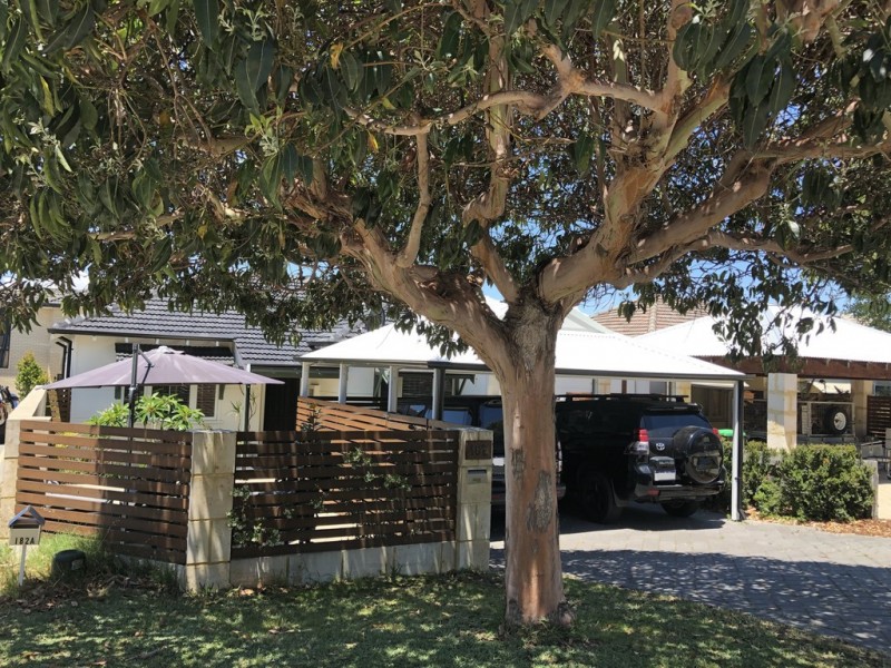 182 Ravenscar Street, Doubleview WA 6018