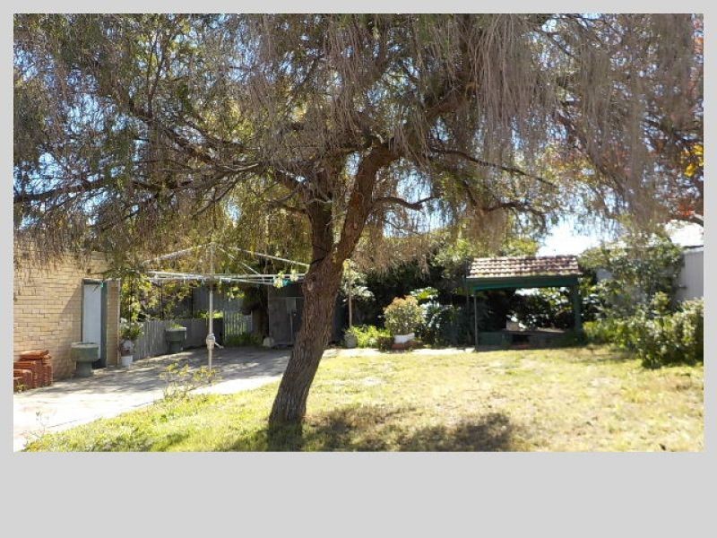 29 Harrison Street, Balcatta WA 6021