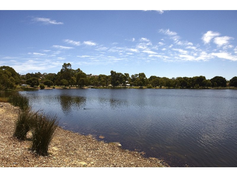 28 Williamstown Road, Doubleview WA 6018