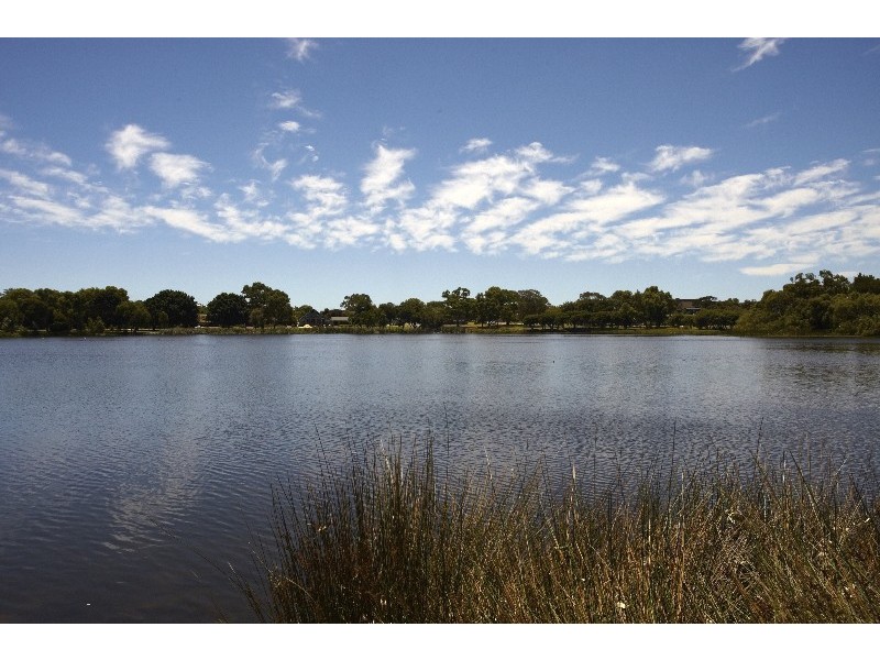 28 Williamstown Road, Doubleview WA 6018