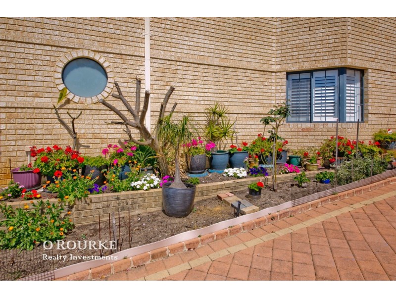 251 Woodside Street, Doubleview WA 6018