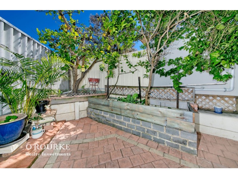 251 Woodside Street, Doubleview WA 6018