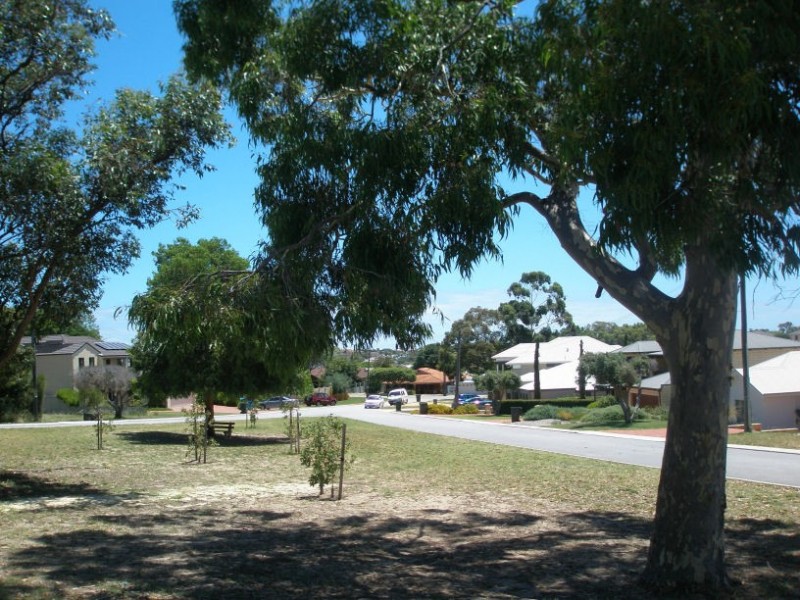 7 Crabbe Place, Karrinyup WA 6018