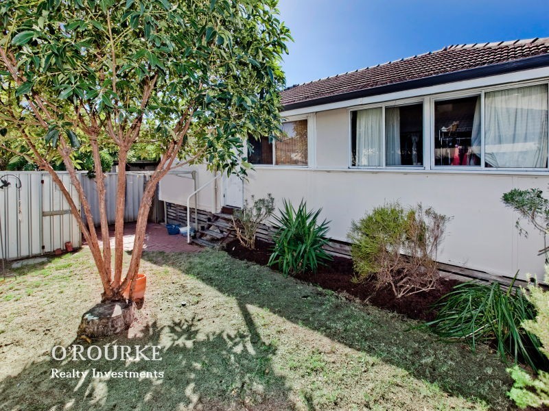 125 Herbert Street, Doubleview WA 6018