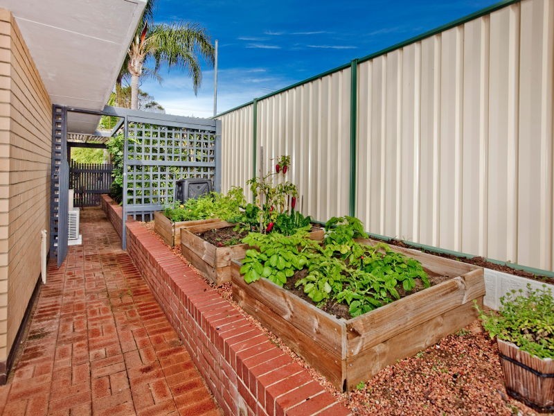 19 Sharon Drive, Carine WA 6020