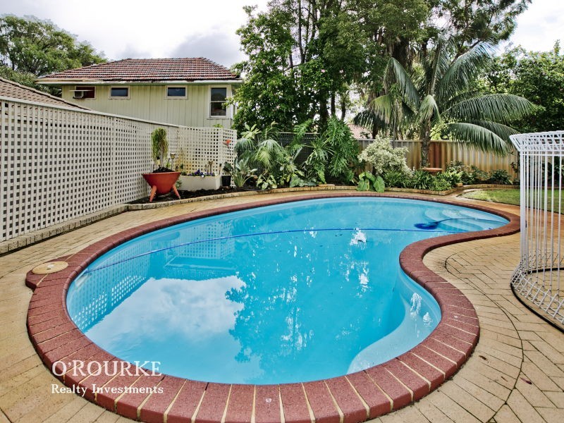 204 St Brigids tce, Doubleview WA 6018